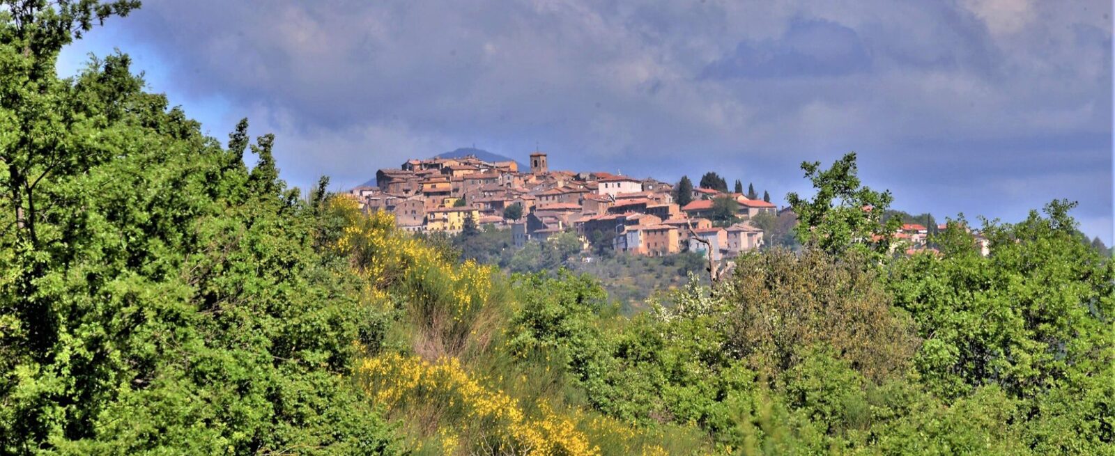 Distant shot of Allerona in Umbria