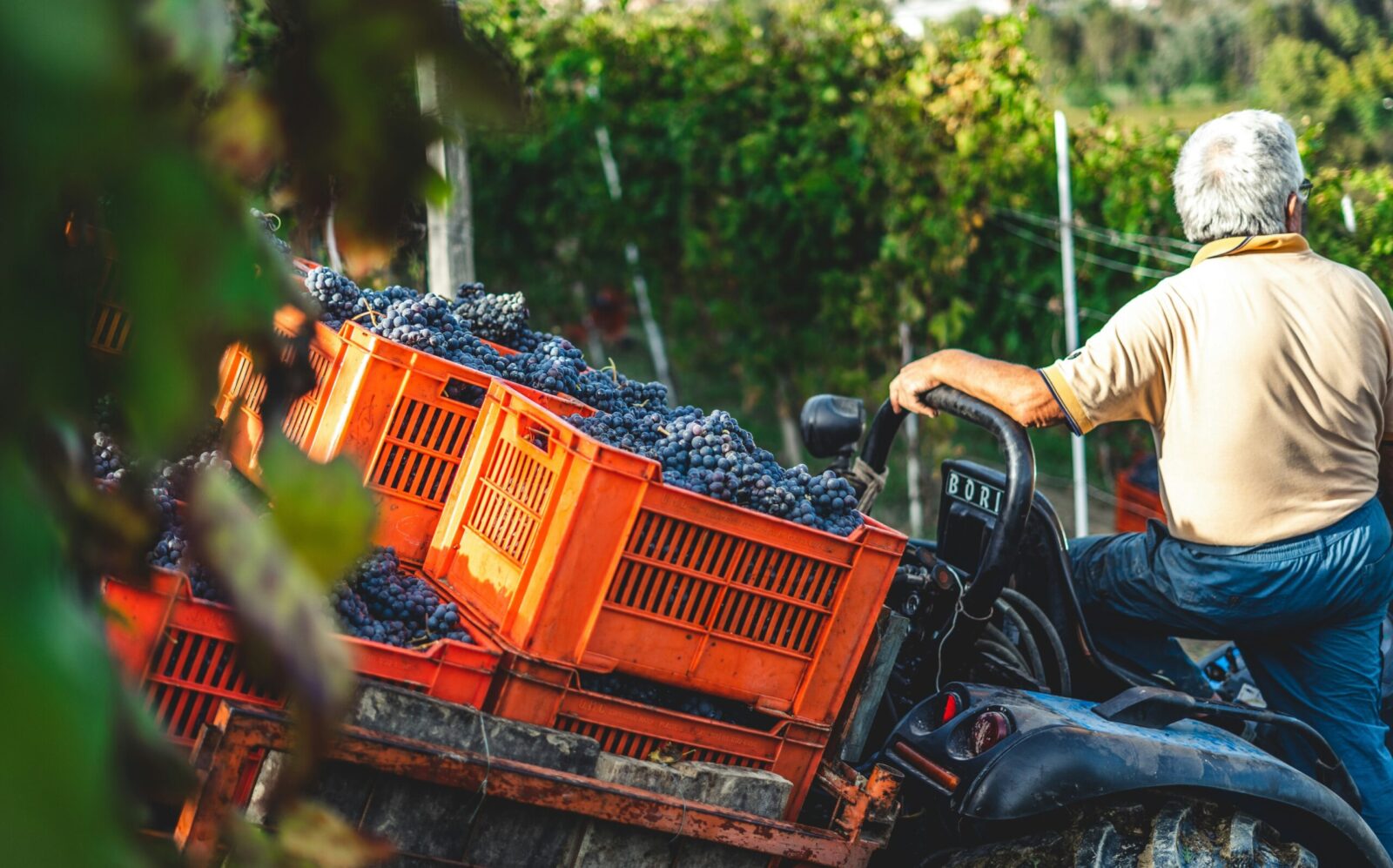 Italy Village tours - umbria harvest tour