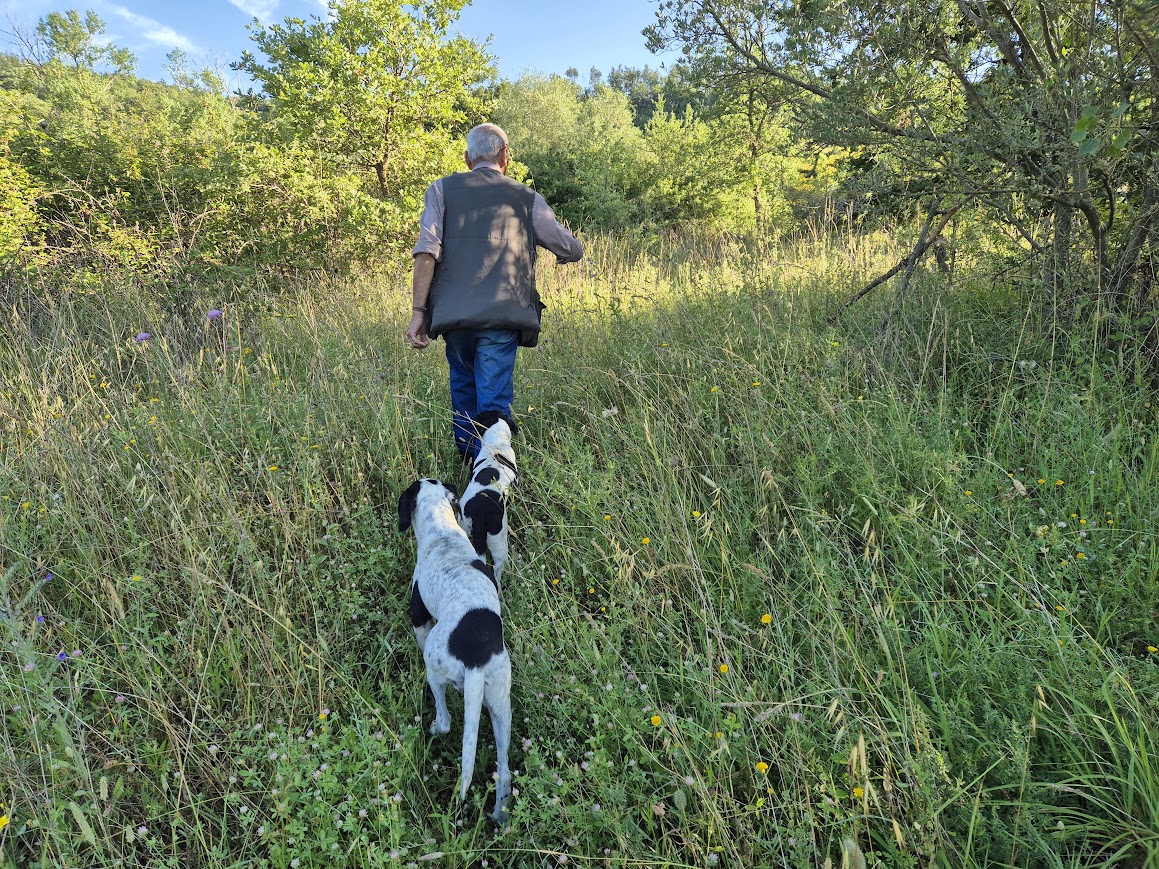 Early morning truffle hunt with Gaetano in Umbria