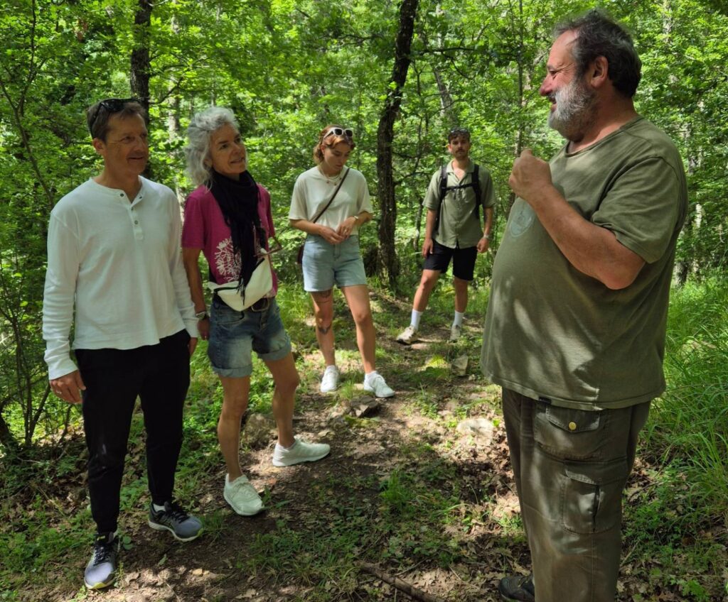 nature hike guide - forest group woodland walk