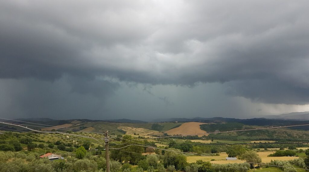 italian olive harvest tours - storm