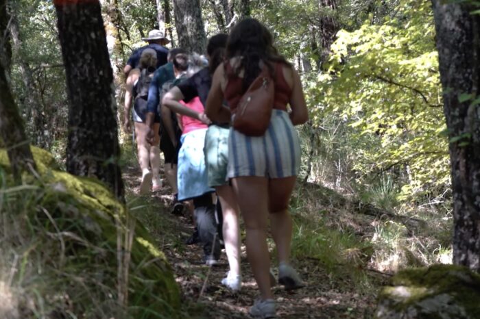 Tour group on a woodland walk
