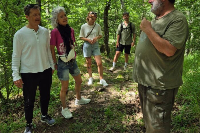 Woodland Tour led by a guide
