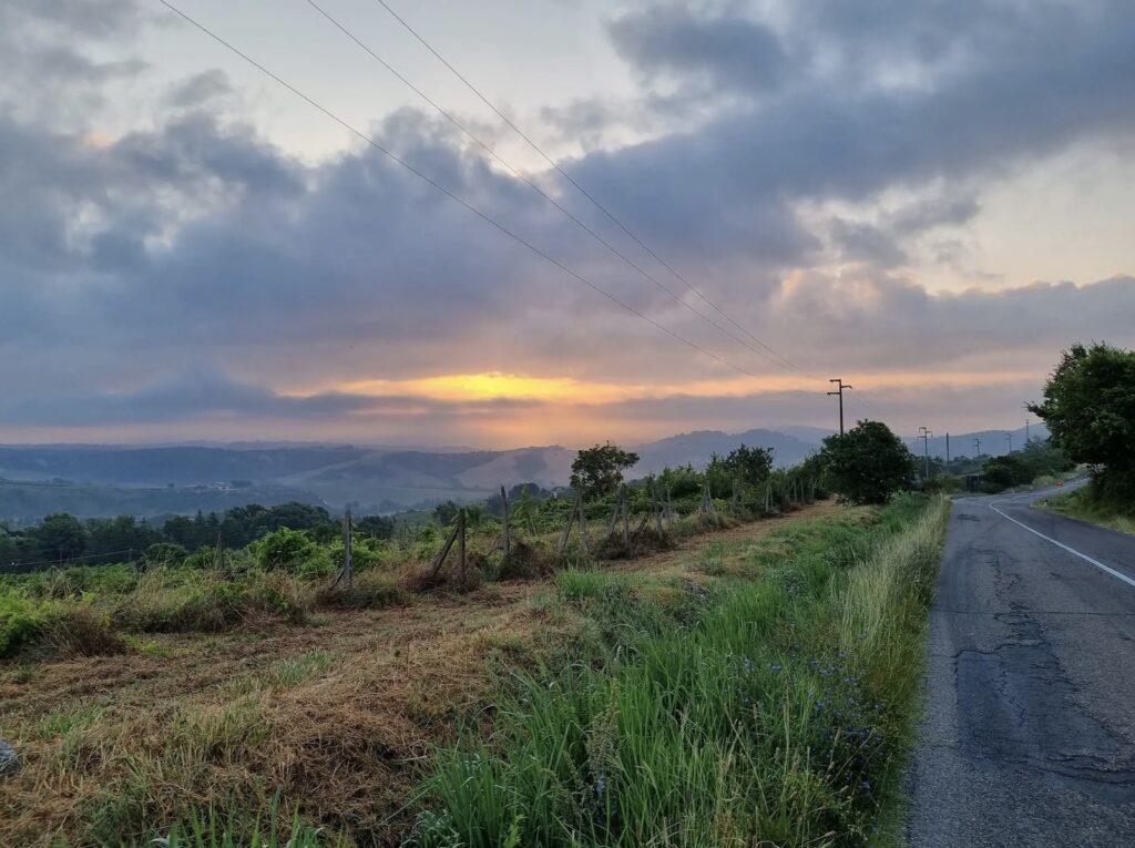 Rural road in Umbria sunset
