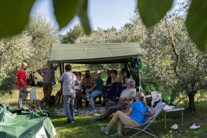 Grape Picking at a Vineyard